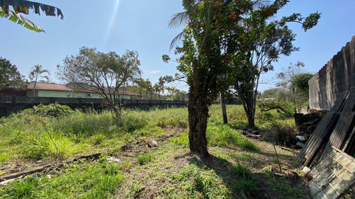Imagem 12 de 17 de Linda Chácara Em Itanhaém 840 M² Ch080 R