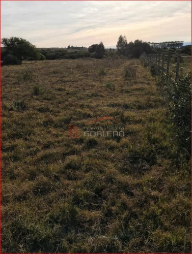 Imagen 2 de 2 de Chacra Próximo A Ruta 12 Y Pueblo Edén, 12 Hás Con Costa