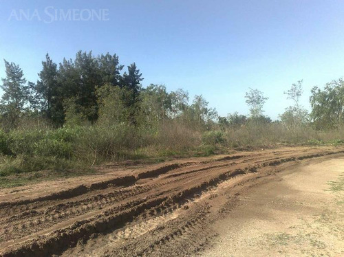 Imagen 8 de 19 de Excelente Terreno A Mts. De Panamericana