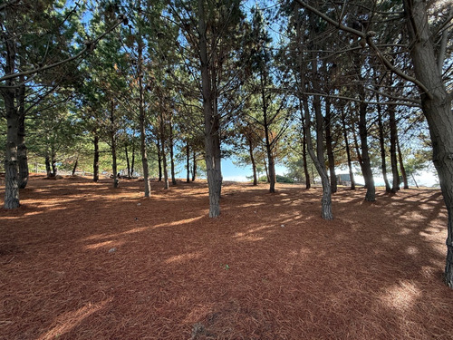 Sitio Primera Linea Frente Al Mar, Boyeruca, Con Playa