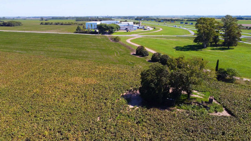 Imagen 6 de 14 de Venta, Campo 10ha Con Frente Sobre Autopista Bs As