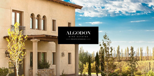 Lot K4 Algodón Wine Estates
