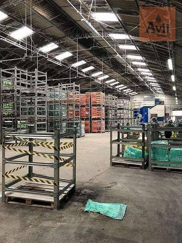 Galpão Para Alugar, 5600 M² Por R$ 90.000,00/mês - Vila Independência - São Paulo/sp - Ga0164