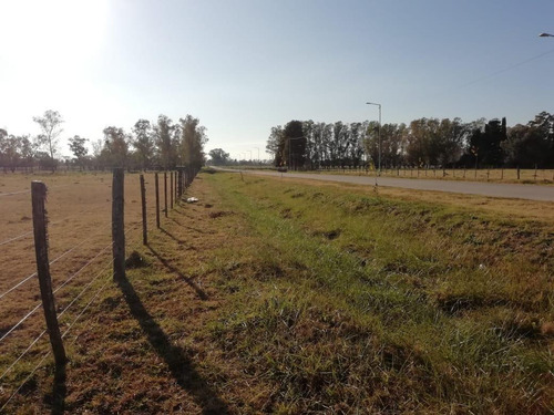 Imagen 7 de 13 de Campo 5ha - Con Pequeña Construcción - Capitan Sarmiento -