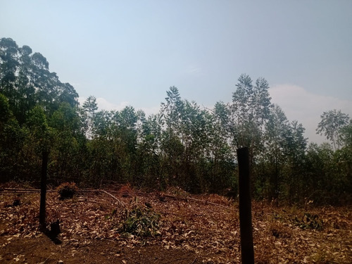 Imagem 4 de 4 de Jv491 Terreno Próximo Da Represa.