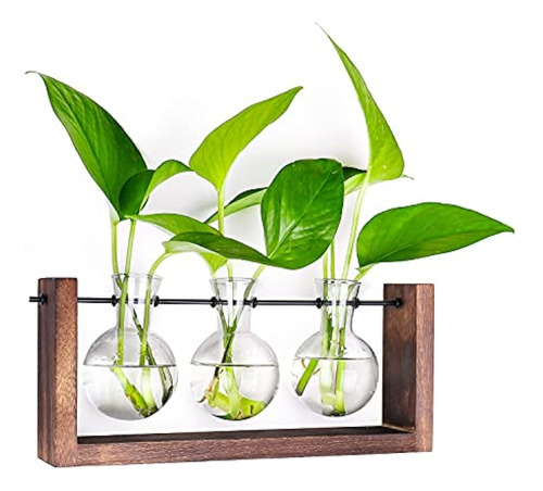 ~? Ivolador Plant Terrarium, Wall Hanging Glass Planter With