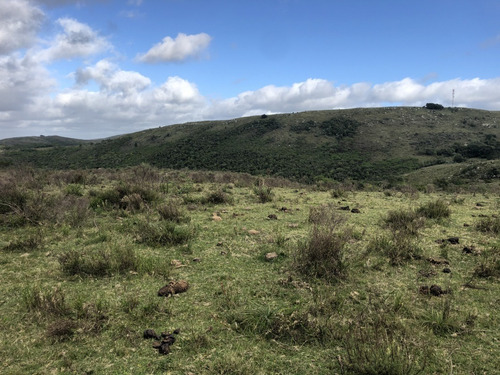 Punto Río | Campo De 64 Hectáreas En Las Sierras De Rocha