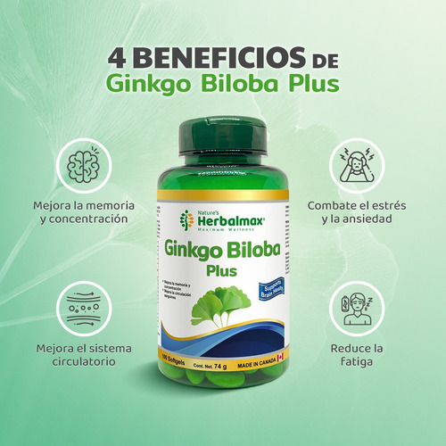 Ginkgo Biloba Plus Herbalmax 740mg 100 Capsulas