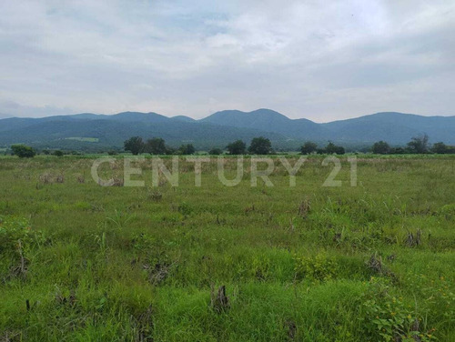 Terreno Rustico En Venta Miacatlán Mor.