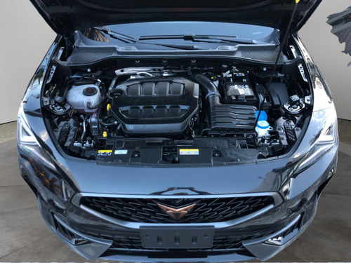 Cupra formentor 2.0 Vz 310Hp 4Wd Dsg7