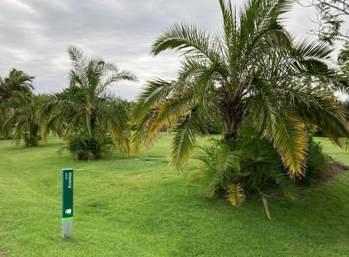 Venta Parcela En Cementerio, Parque Del Reencuentro