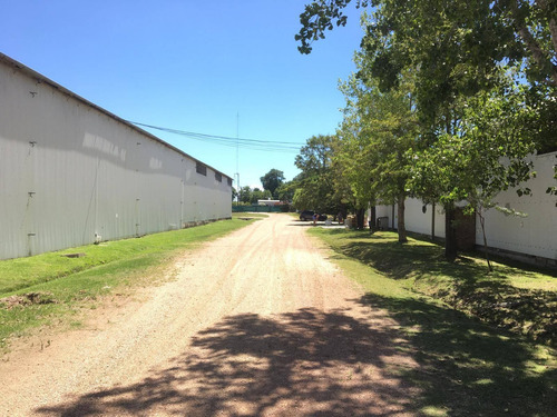 Venta Local Industrial Paso De La Arena - Avenida Islas Canarias