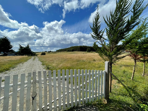 Campo De 22 Hectáreas Cercano A Fresia.