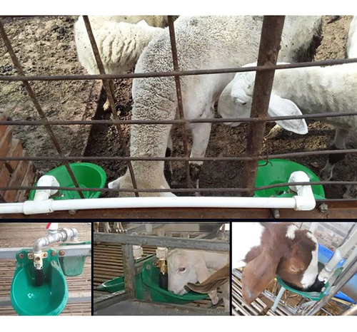 Cuencos De Agua Para Ovejas, Herramienta Para Beber, Comeder