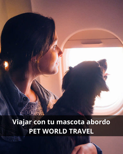 Certificado Service Dog Usa : Pet World Travel