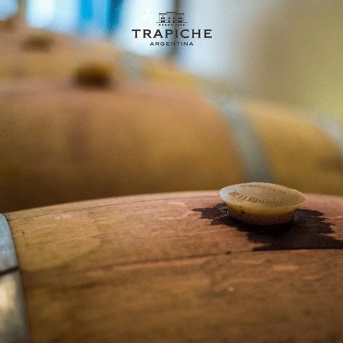 Imagen 4 de 10 de Vino Trapiche X 2 ( Fond De Cave, Gran Medalla )+ Lote Negro