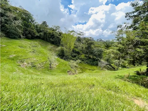 Se Vende Finca De 7 Hectáreas En San Roque, Antioquia