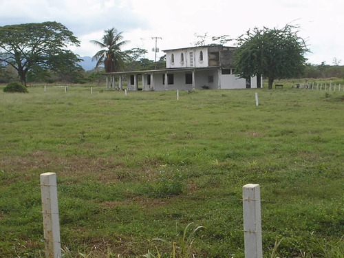 Imagen 3 de 15 de Finca En La Alegría En Yaracal Cerca De Tucacas