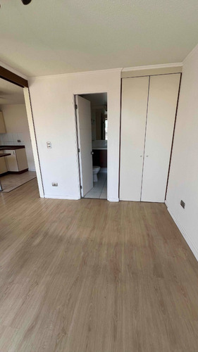Stgo, Dpto 1 Dorm Calle Rauli - Sector Metro Santa Isabel