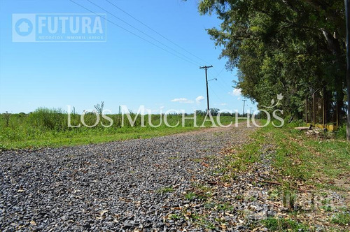 Imagen 4 de 30 de Terreno A La Venta En Barrio Abierto Los Muchachos - Piñero