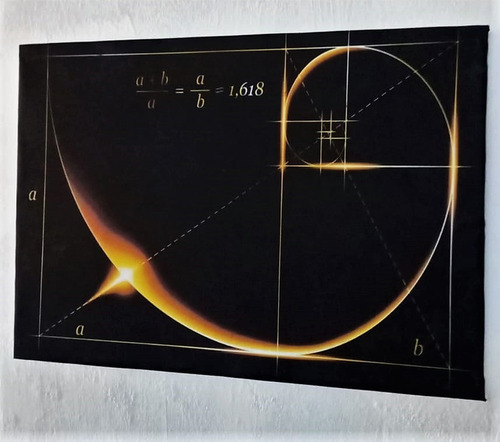 Cuadro Fibonacci Proporción Aurea 67x47cm