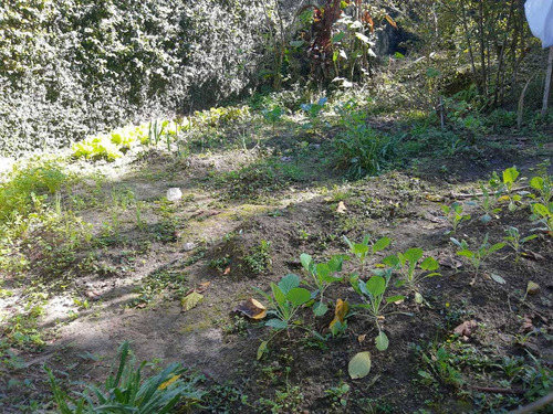 Chácara 2500 M