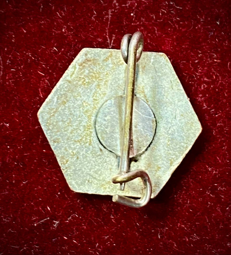 Pin Prendedor Escudo Asc Complejo Campamento Plateado Escudo (Usado)
