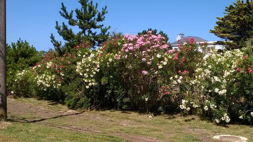 Casa - Punta Piedras