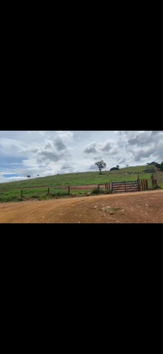 Imagem 5 de 14 de Fazenda Dupla Aptidão Município Brasilândia