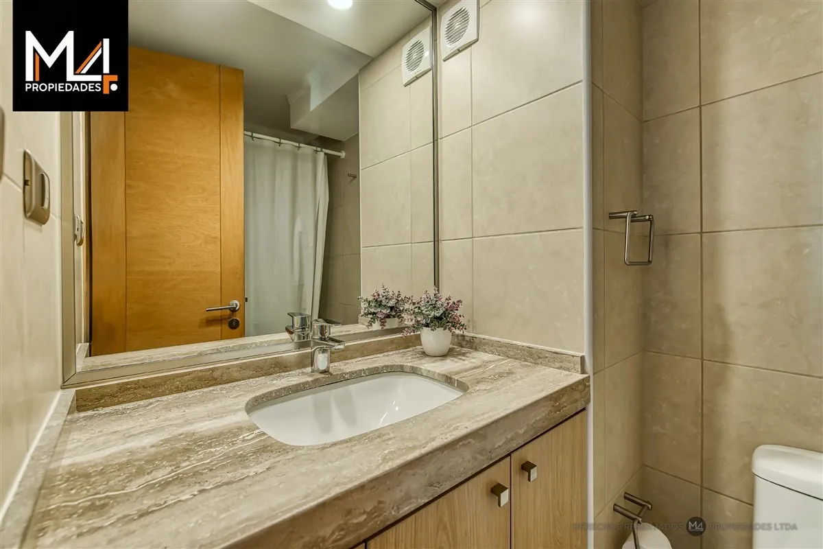 Imagen 4 de 13 de Departamento En Venta De 2 Dorm. En Providencia