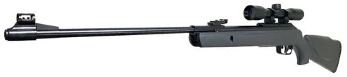 Rifle Gamo Cal 5.5 Big Cat 1000 P611006575557