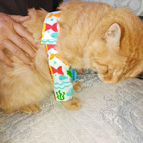 Mangas Protectoras Para Patas De Gato Con Correa