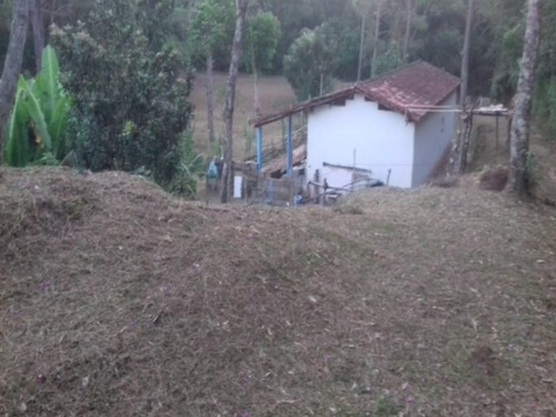 Imagem 4 de 14 de Chácara Escriturada Com 5.000m² E Excelente Topografia