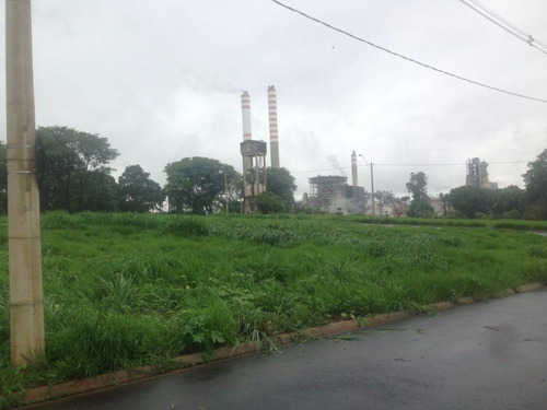 Imagem 3 de 6 de Terreno À Venda, Jardim Pau Brasil - Americana/sp - 4686