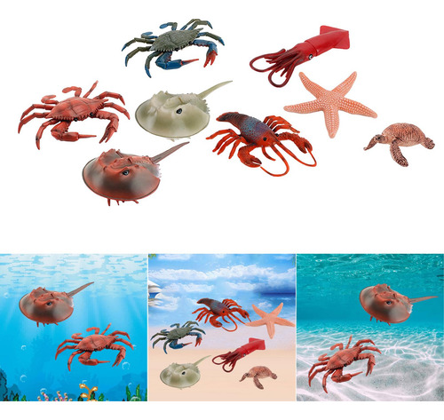 Colección De Regalos De Cumpleaños De Marine Life Animal