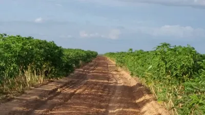 Hacienda-Finca en venta