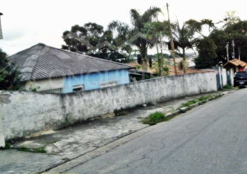 Imagem 1 de 8 de Terreno - Batistini - Ref: 373 - V-1615