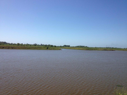 Imagen 4 de 13 de Muy Buen Lote Con Salida Al Río En Villa Paranacito