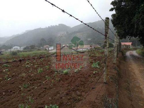 Imagem 4 de 4 de Terreno - Ref: 3454 - V-3454