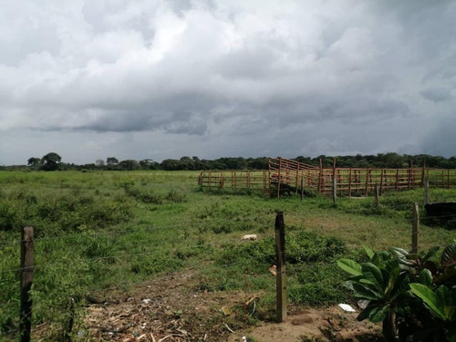 Imagen 12 de 17 de De Oportunidad Vendo Finca En El Cantón 283 Hectáreas Ah