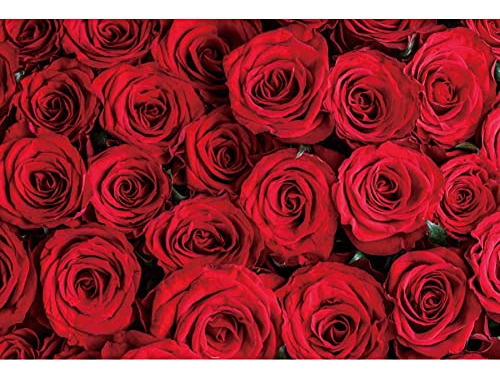 Renaiss 5x3ft Red Rose Floral Backdrop Bridal Shower 7zszd