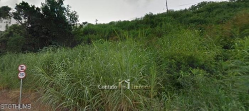 Imagem 4 de 8 de Terreno Para Investimento Atibaia - 3.200m² - Te0210-1