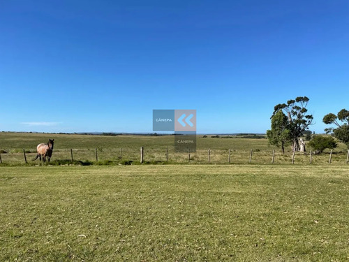 Campo De 95 Has. Ubicado A Tan Solo 15 De La Playa De José Ignacio Y A 40 De Punta Del Este