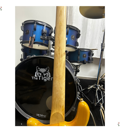 Baixo Condor Coreano 5 Cordas Tipo Warwick Csb5 Natural