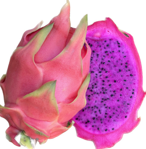 20 Esquejes De Pitahaya Purple Haze Variedad Autofertil