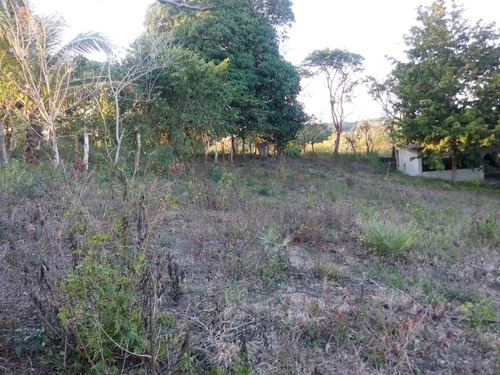 Terreno Venta 1050 M² En Esquina Cruz Naranjos Tuxpan Veracruz