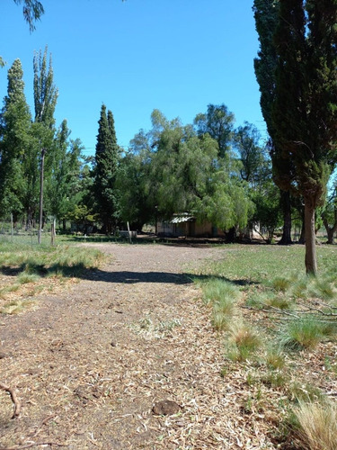 Imagen 2 de 8 de En Venta Chacra General Conesa 6 Hectareas