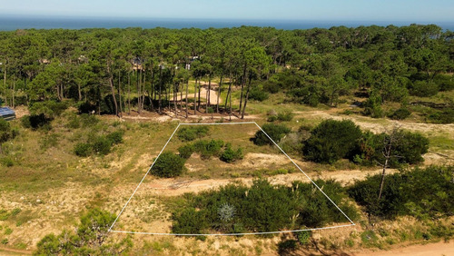 Terreno En Venta En Reserva Montoya (ref: Bpv-10362)