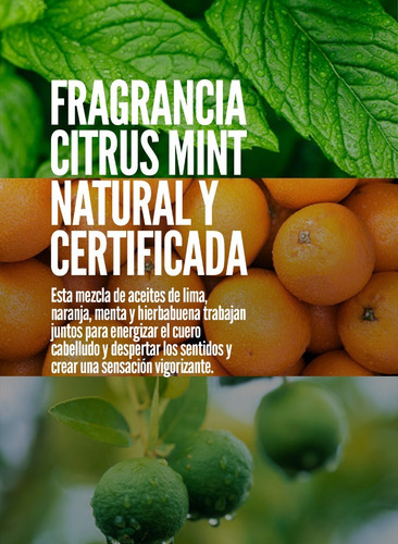 Imagen 4 de 7 de Daily Shampoo + Conditioner + Cera Fiber American Crew Men