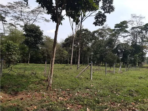 Vendo Lotes En Restrepo Meta De 2200 M2